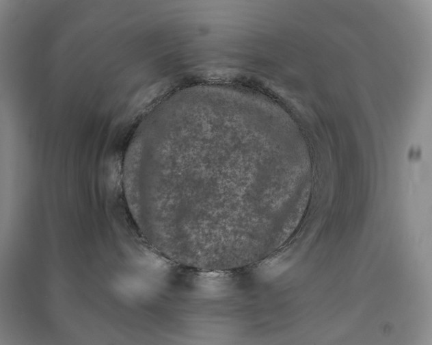 X0000091100240200708201528