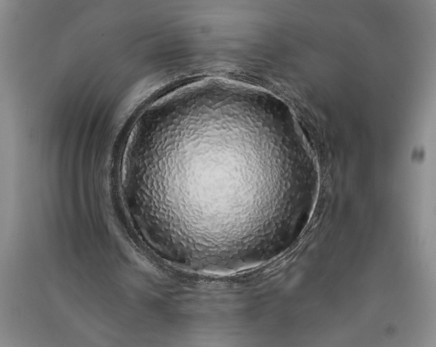 X0000091100242200708201527