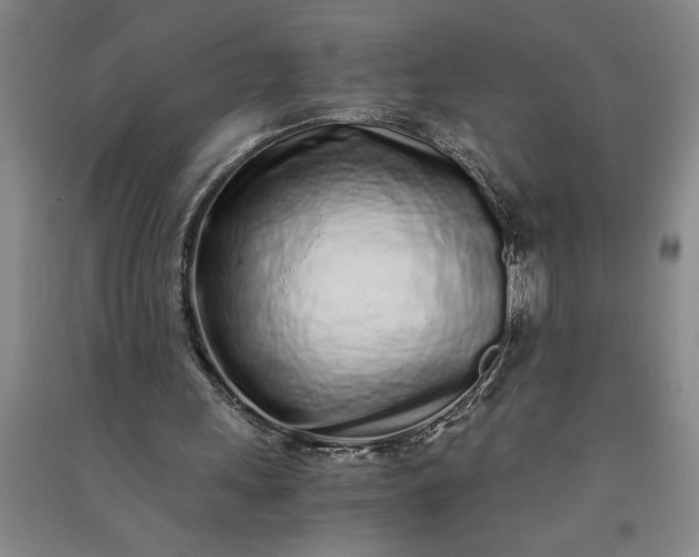 X0000091100243200708201527