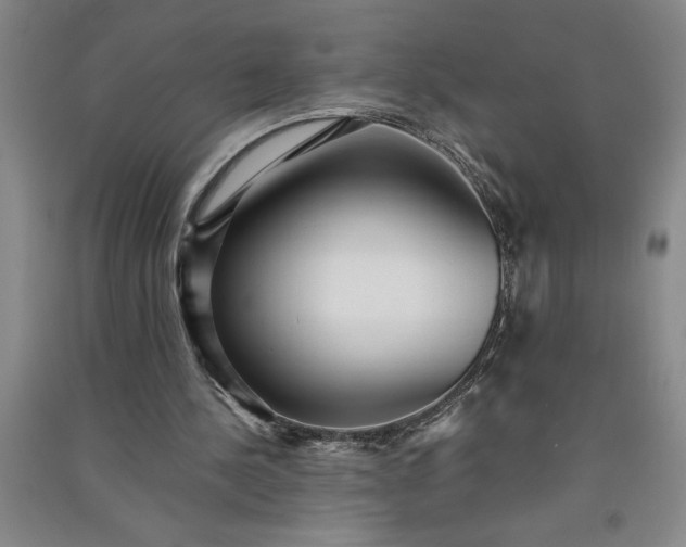 X0000091100244200708201527