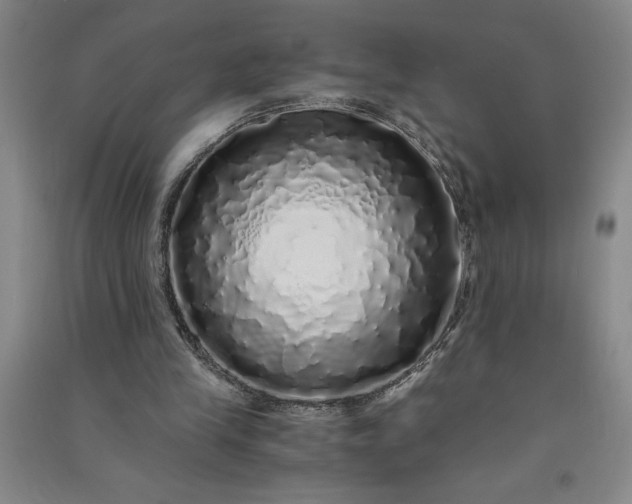 X0000091100245200708201528