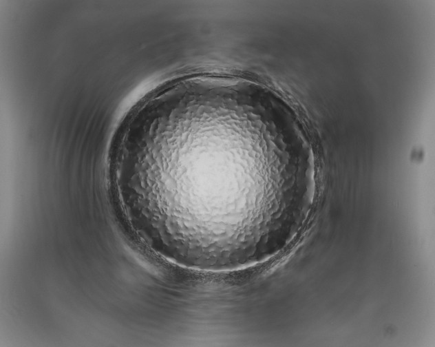 X0000091100246200708201528