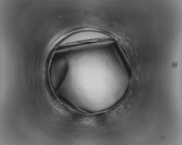 X0000091100247200708201528