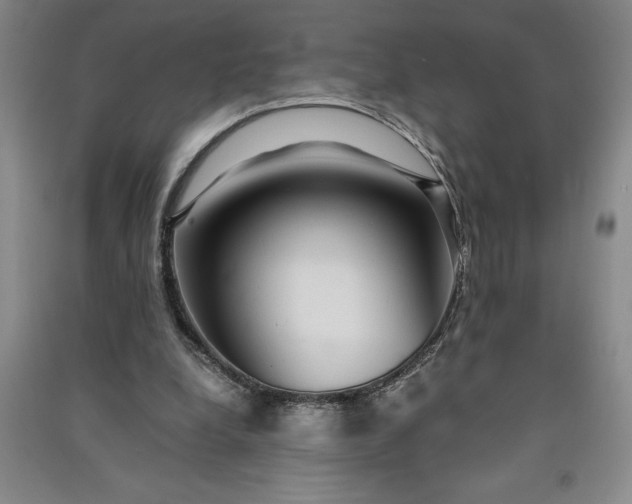 X0000091100248200708201528