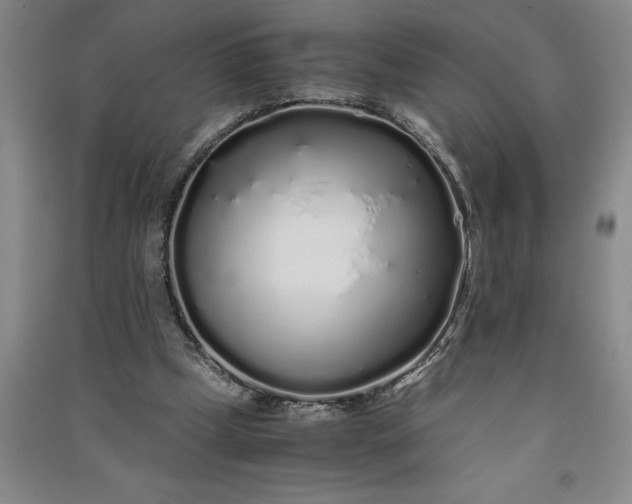 X0000091100249200708201528