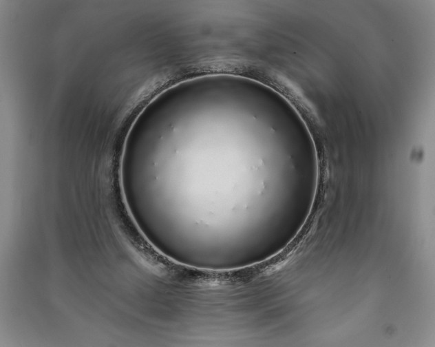 X0000091100250200708201528