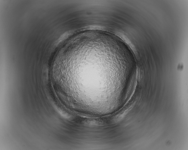 X0000091100253200708201528