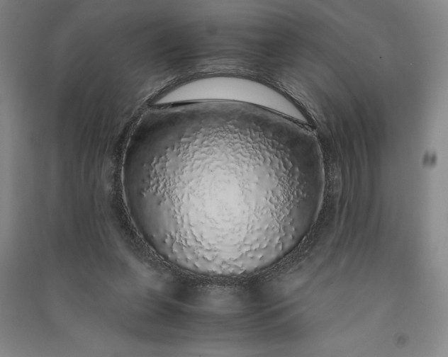 X0000091100255200708201528