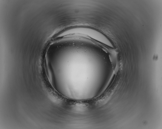 X0000091100256200708201528