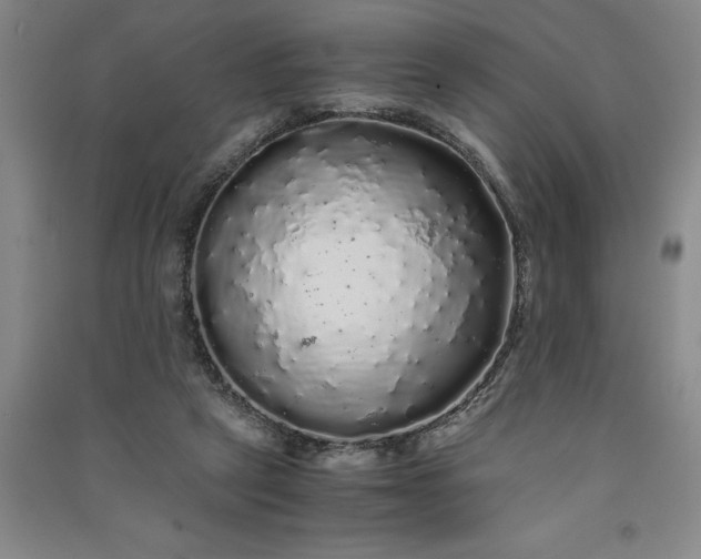 X0000091100257200708201528