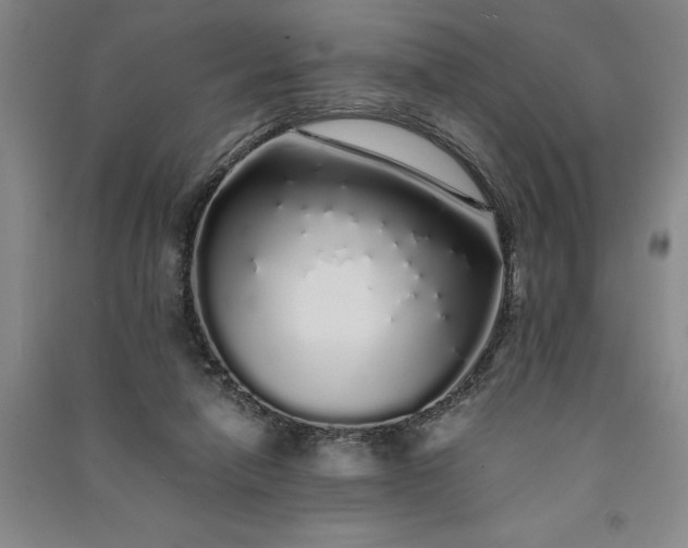 X0000091100258200708201528