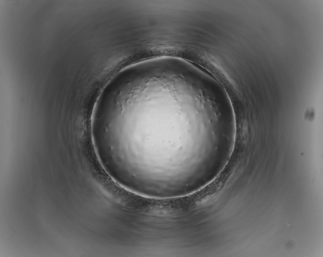 X0000091100259200708201528