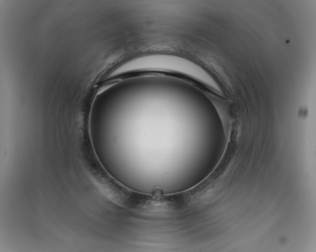 X0000091100260200708201528