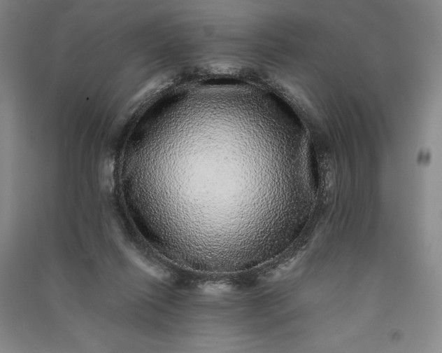 X0000091100262200708201528