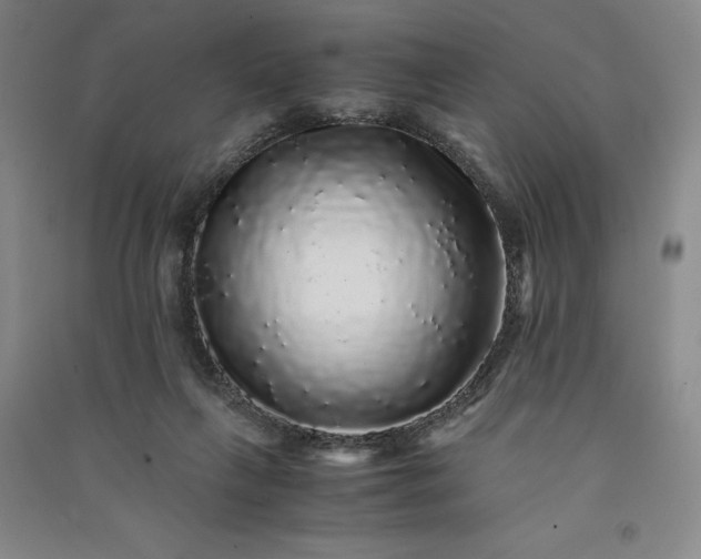 X0000091100263200708201528