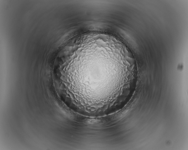 X0000091100265200708201528