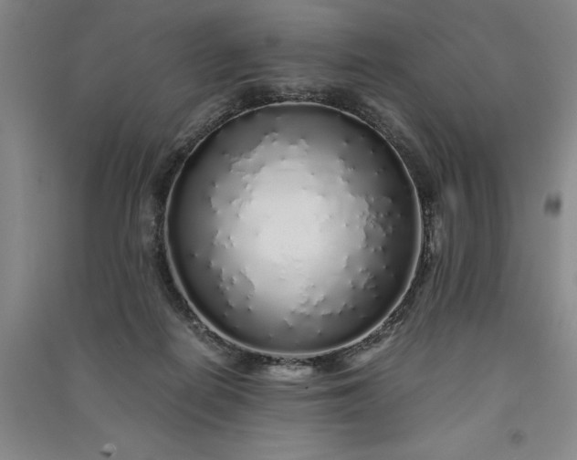 X0000091100266200708201528