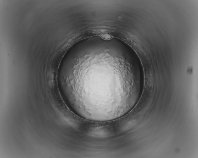 X0000091100267200708201528