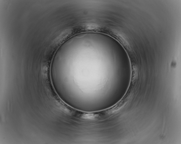 X0000091100269200708201528