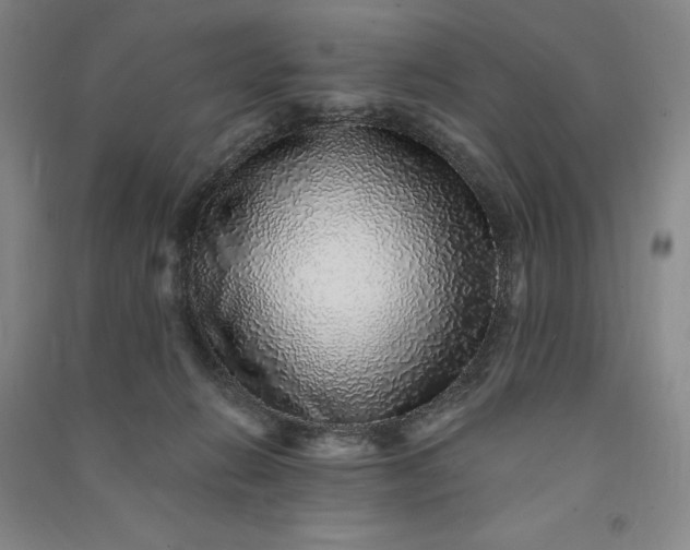 X0000091100270200708201528