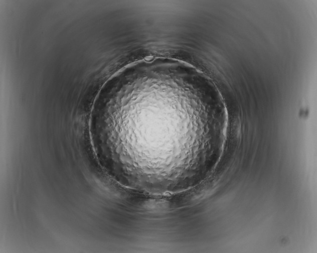 X0000091100271200708201528