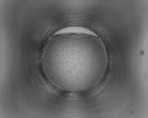 X0000091100272200708201528