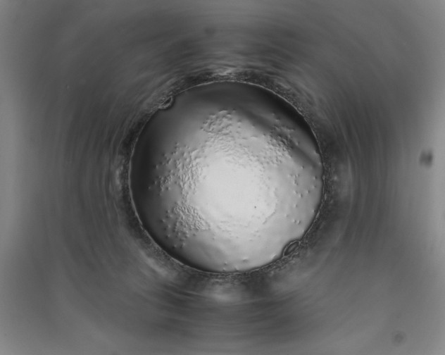 X0000091100275200708201528