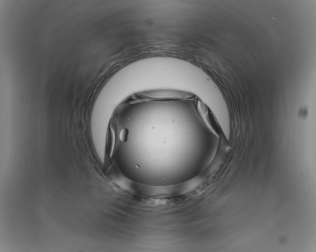 X0000091100276200708201528