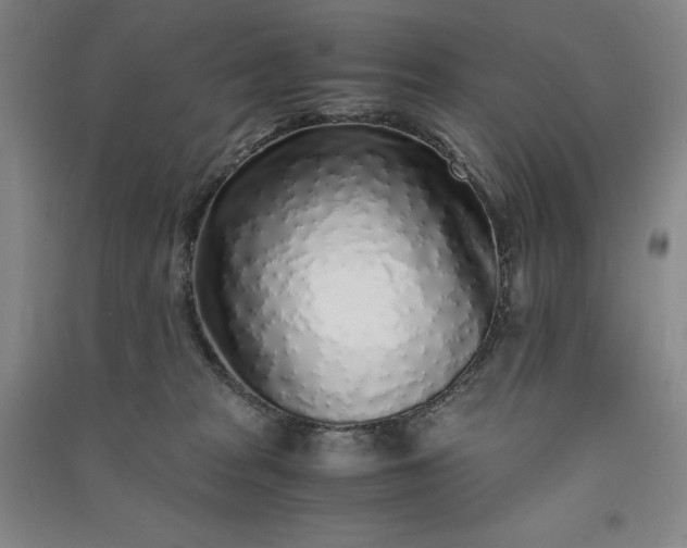 X0000091100277200708201528