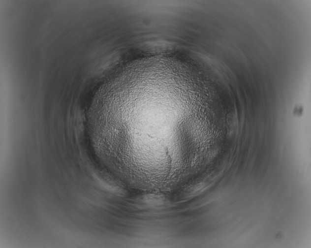 X0000091100279200708201528