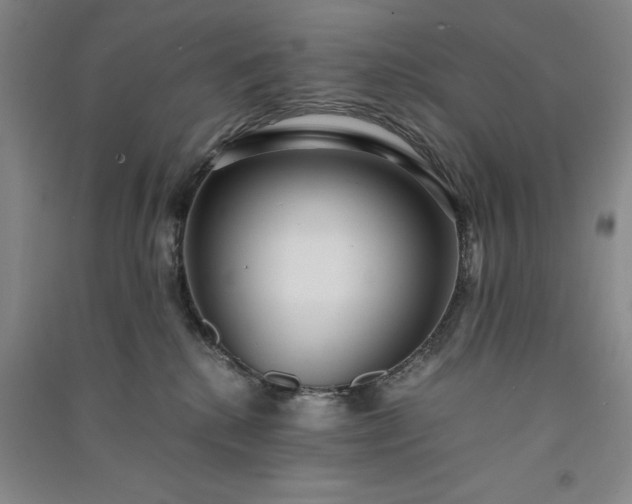 X0000091100280200708201528