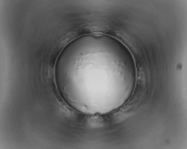 X0000091100281200708201528