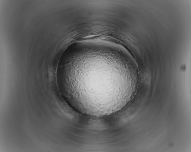 X0000091100283200708201528