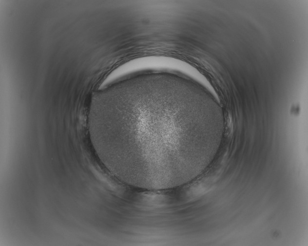 X0000091100284200708201528