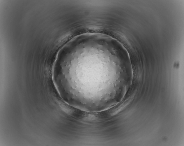 X0000091100285200708201528