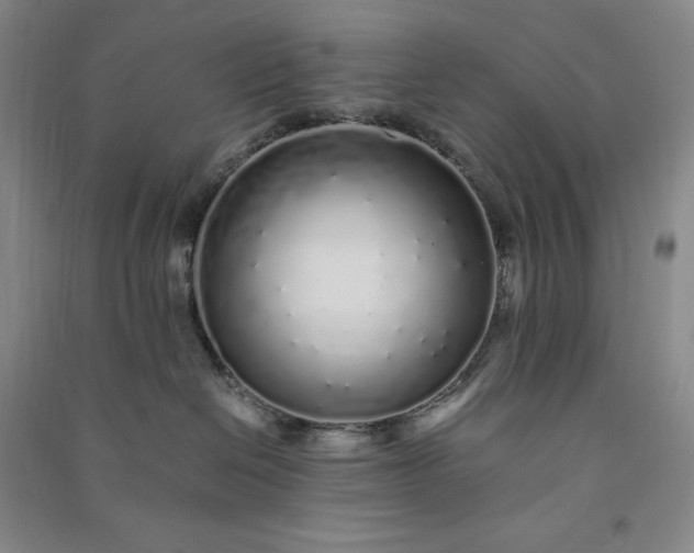 X0000091100286200708201528