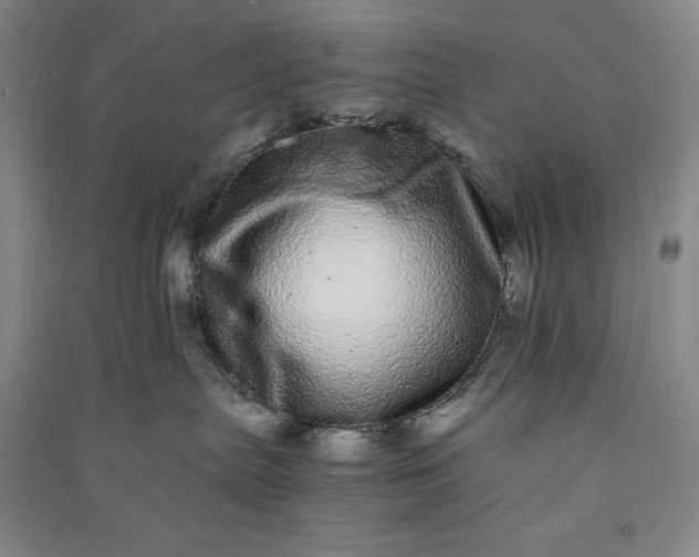 X0000091100287200708201528