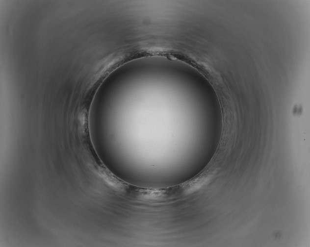 X0000091100288200708201528