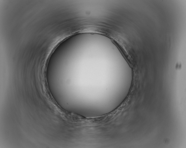 X0000091100289200708201527