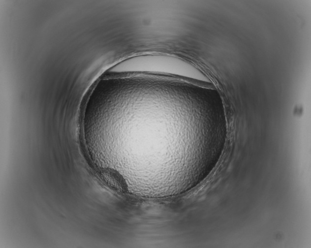 X0000091100290200708201527