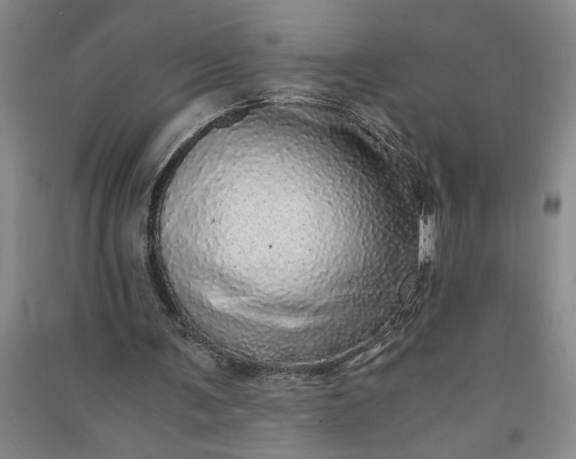 X0000091100291200708201527