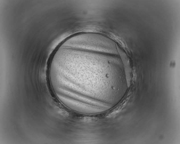 X0000091100292200708201527