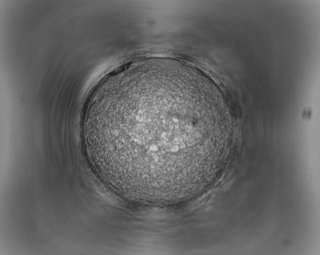 X0000091100293200708201527