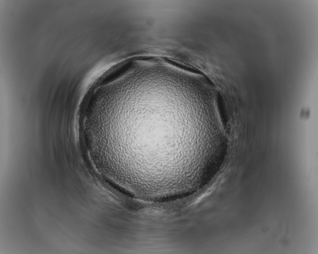 X0000091100294200708201527