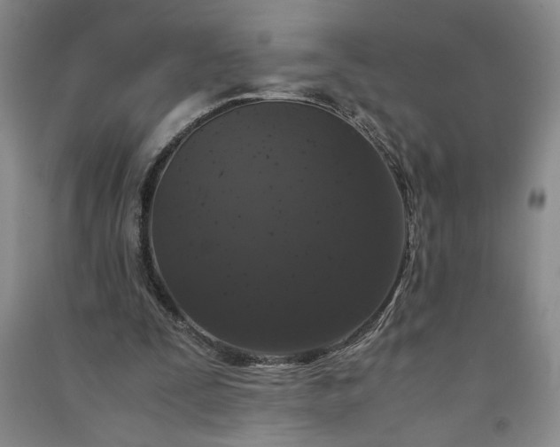 X0000091100295200708201527