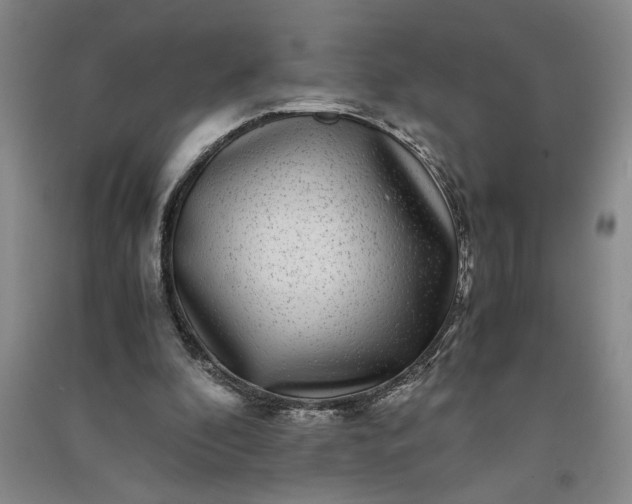 X0000091100296200708201527