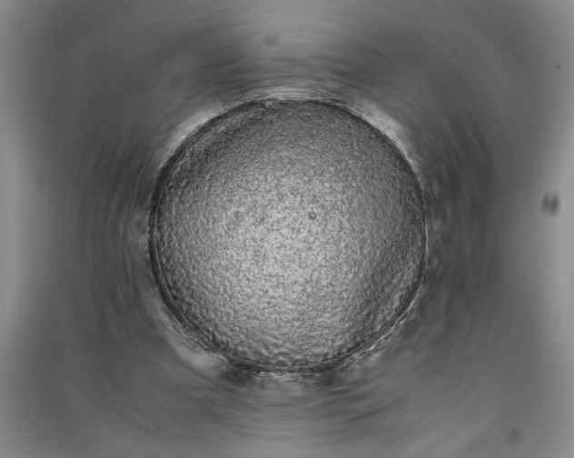 X0000091100297200708201527