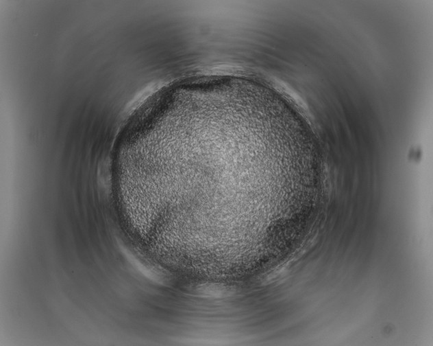 X0000091100298200708201527