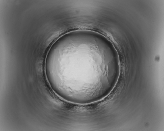 X0000091100299200708201527