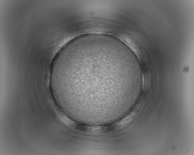 X0000091100301200708201527